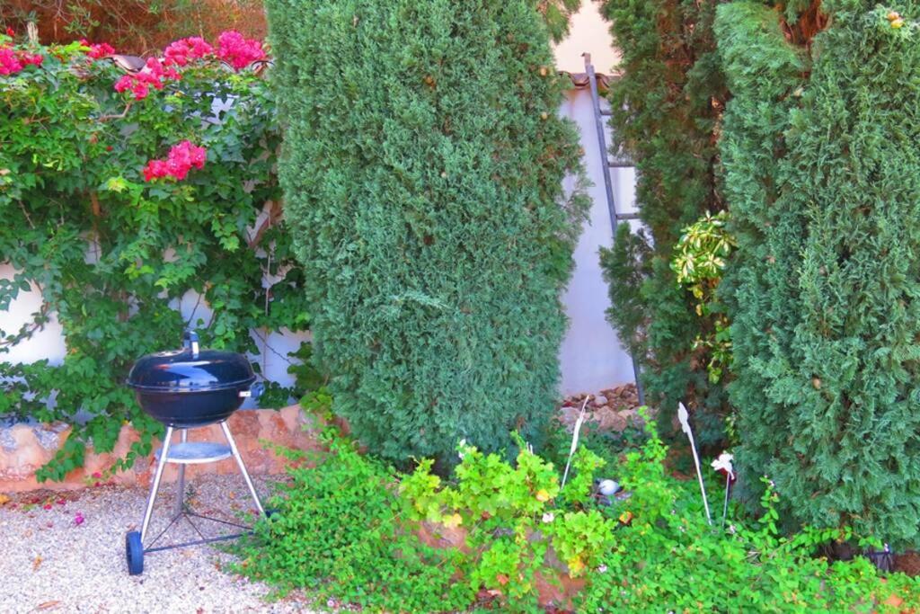Apartamento Gran Terraza Privada Y Vistas Al Mar Puerto de Sóller 외부 사진